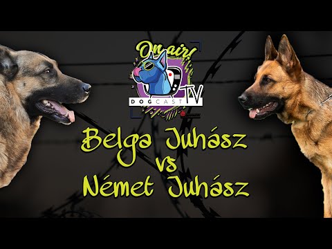 paraziták hangszálakkal