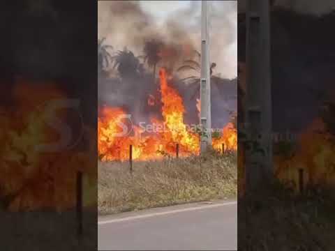 Incêndio de grandes proporções atinge EPAMIG em Prudente de Morais