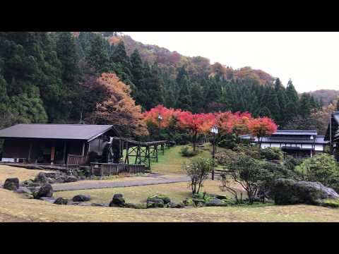 かずら橋｜福井県池田町