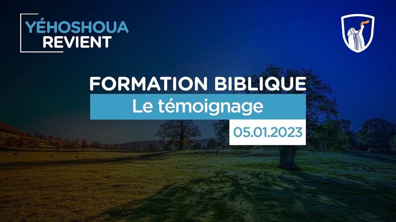 Thumbnail of video: Présentation des nations : 🇦🇹 Autriche et 🇩🇪 Allemagne - Sarcelles