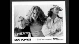 Meat Puppets - Sweet Ammonia