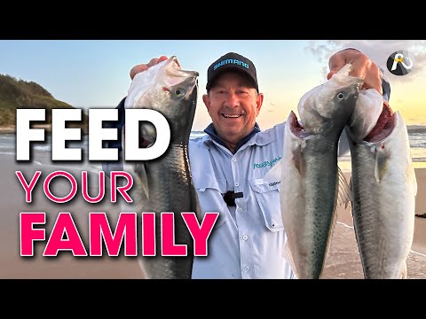 Beach Fishing to Feed Your Family: THREE SIMPLE STEPS!