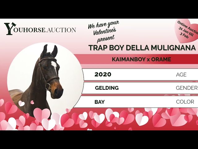 Trap Boy Della Mulignana homevideo