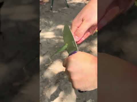 Ganzo G769💥 #edc #edcorganizer #knifereview #blade #knifecommunity #everdaycarry