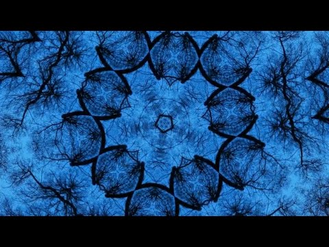 Dub Trees - Deer Hunter (Azura Dub) [Psychedelic Visuals]