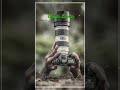 Camera Lovers Topuri Mix Fell The Best Wp Status Video