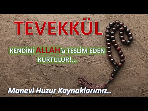 Tevekkül - Kendini Allah'a Teslim Eden Kurtulur #elfabex