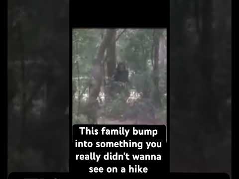 A terrifying dogman encounter!!       #dogman #BFT #bigfoot #Sasquatch