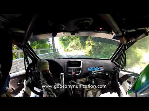 Domenico Erbetta - Rally del Friuli Venezia Giulia 2017 - Ps 3 "Tribil"