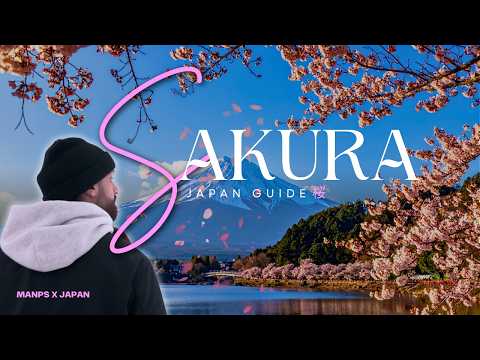 Japan Cherry Blossom Guide