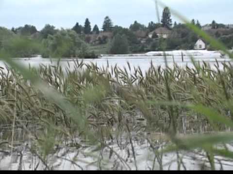 Somogyiak a dunai gátakon