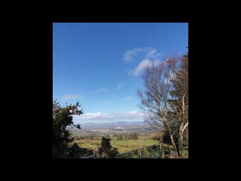 [FREE] nothing,nowhere. x skele x sewerperson x sendflowrs x killedmyself type beat - almost.