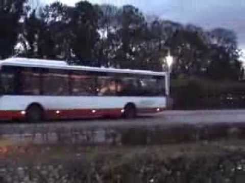 Doebel Gestresst - Carnevale Italiano - opkomst