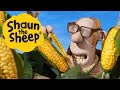Shaun The Sheep Season 6 Clip Get Your Goat