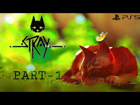 STRAY | Ultra High Realistic Graphics PS5 Gameplay in 4K HDR 60fps-No Commentary(Full Game) | Part-1