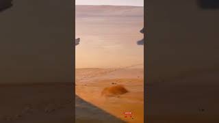 Download lagu Bear ##shortvideo #funny #venom #memes #viralvideo #cute #animals mp3 Download lagu Bear ##shortvideo #funny #venom #memes #viralvideo #cute #animals mp3