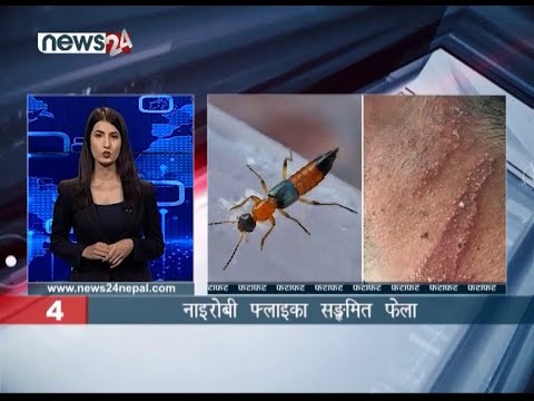 AFTERNOON NEWS FATAFAT - NEWS24 TV