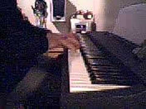 "Always" Neverending White Lights