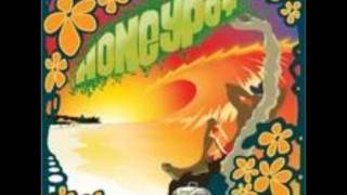 HONEYPOT-LITTLE  LION