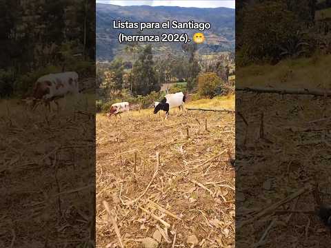 Pueblitos de nor oriente de tayacaja #huancavelica