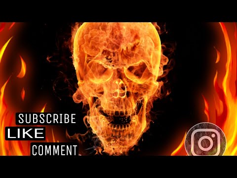 Dusty Leigh x Brandon Hartt x Moonshine Bandits - "Friday Coming On" (OMV) 🎧👀Reaction Great Vibes 🎵💯