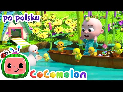 Pięć małych kaczek | CoComelon po polsku 🍉🎶 Piosenki dla dzieci