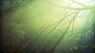 Genesis ~ The Fountain Of Salmacis ~ (Rm)