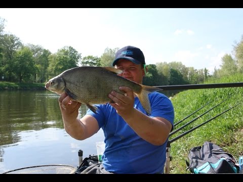 Rzeczne leszcze - zanęta, sprzęt i technika łowienia.
