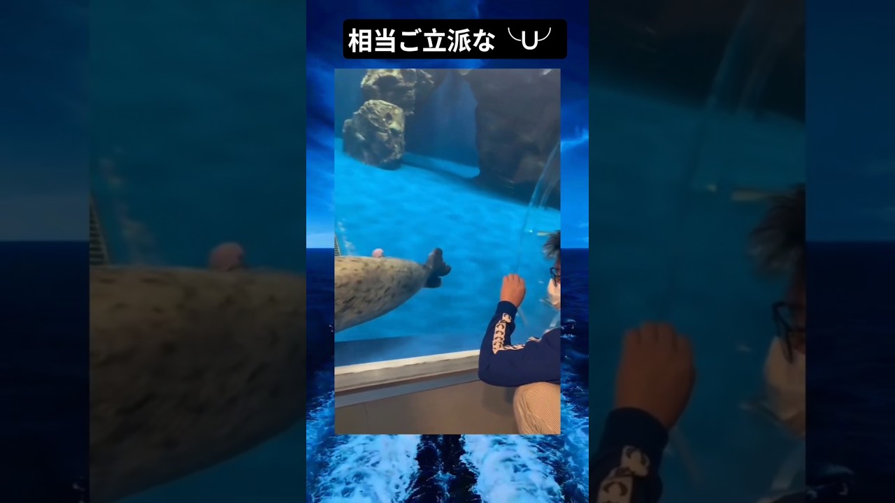 フルのカッチカチになってて草www #おもしろ #バズ #Shorts #すごい #動物 #恋愛