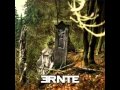 ernte - sonnenwende 