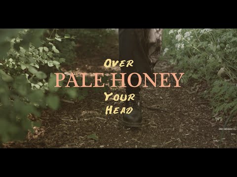 Over Your Head - Pale Honey