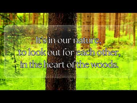 HEART OF THE WOODS - KACEY MUSGRAVES Lyric Video