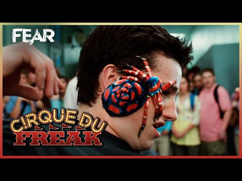 The Spider Escapes! | Cirque du Freak: The Vampire's Assistant | Fear
