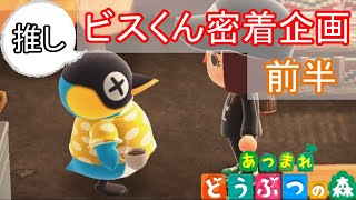 癒し度120％なビスくん密着企画「あつまれ どうぶつの森」実況