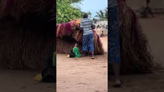 Download lagu ternyata ini yang mengerakan tari kumpo#africa mp3