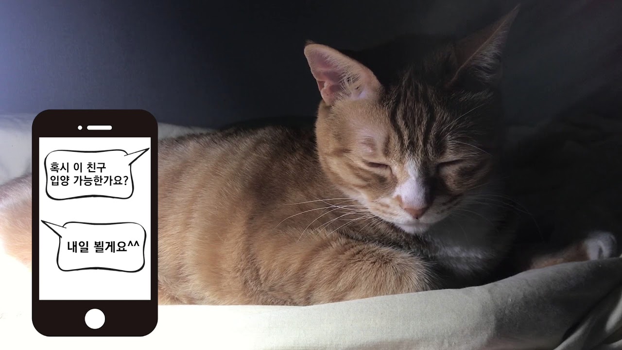 [Aridio] 아리가 빛나는 밤에 EP. 1