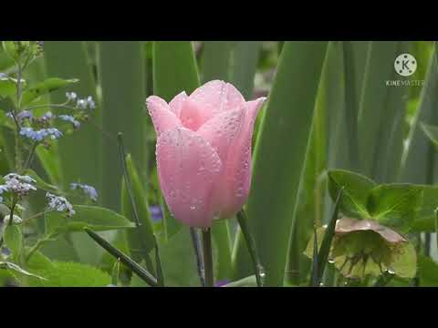 meditation relaxation weekend sunday weekend sunday night