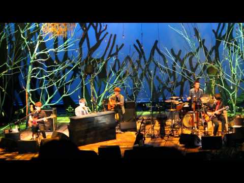 150523 넬(Nell) - 연어가 되지 못한 채 (acoustic ver.) @ 'Beautiful day' concert