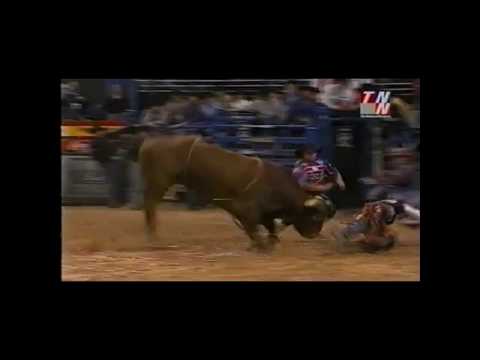 Little Yellow Jacket Nearly Perfect - 01 PBR Finals