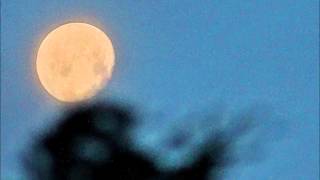 Shannon McNally -  "Pale Moon"