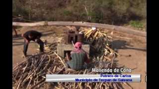 Molienda de Caña, actividad agrícola que se niega a desaparecer.