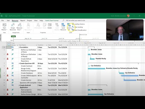 Adding Resources, Leveling Resources in Microsoft Project