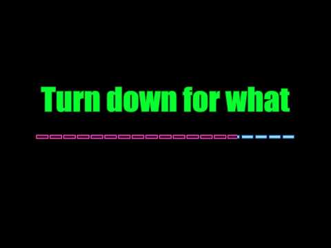 DJ Snake & Lil Jon   Turn Down for What Instrumental with lyrics Singalong