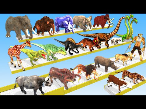 Animals vs Dinosaurs vs Brachiosaurus Hydra Speed Race Run Zigzag Down Course! Animal Revolt Battle