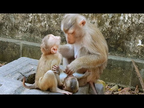 Orphan Angela trying to convince Libby allow her breastfeeding milk