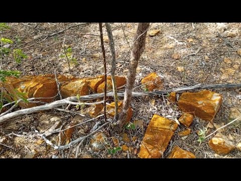 Continuação dos vídeos de livramento na Paraíba!!! 