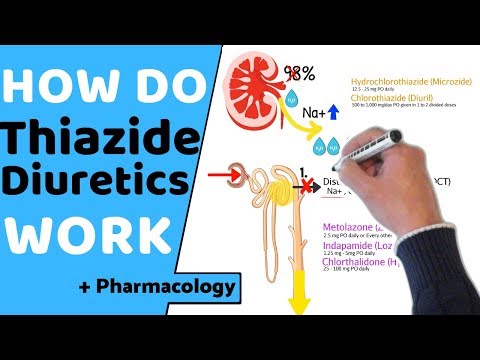 How do Thiazide Diuretics Work? (+ Pharmacology)