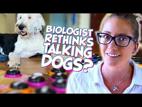 The Science Behind the Self Aware Dog Talking With Buttons