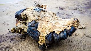 100 Most Mysterious Archaeological Finds Scientists Still Can't Explain