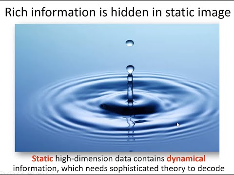 15/04/2021. Luonan Chen, Academia Chinesa de Ciências, Ciência de dados baseada em dinâmica em biologia